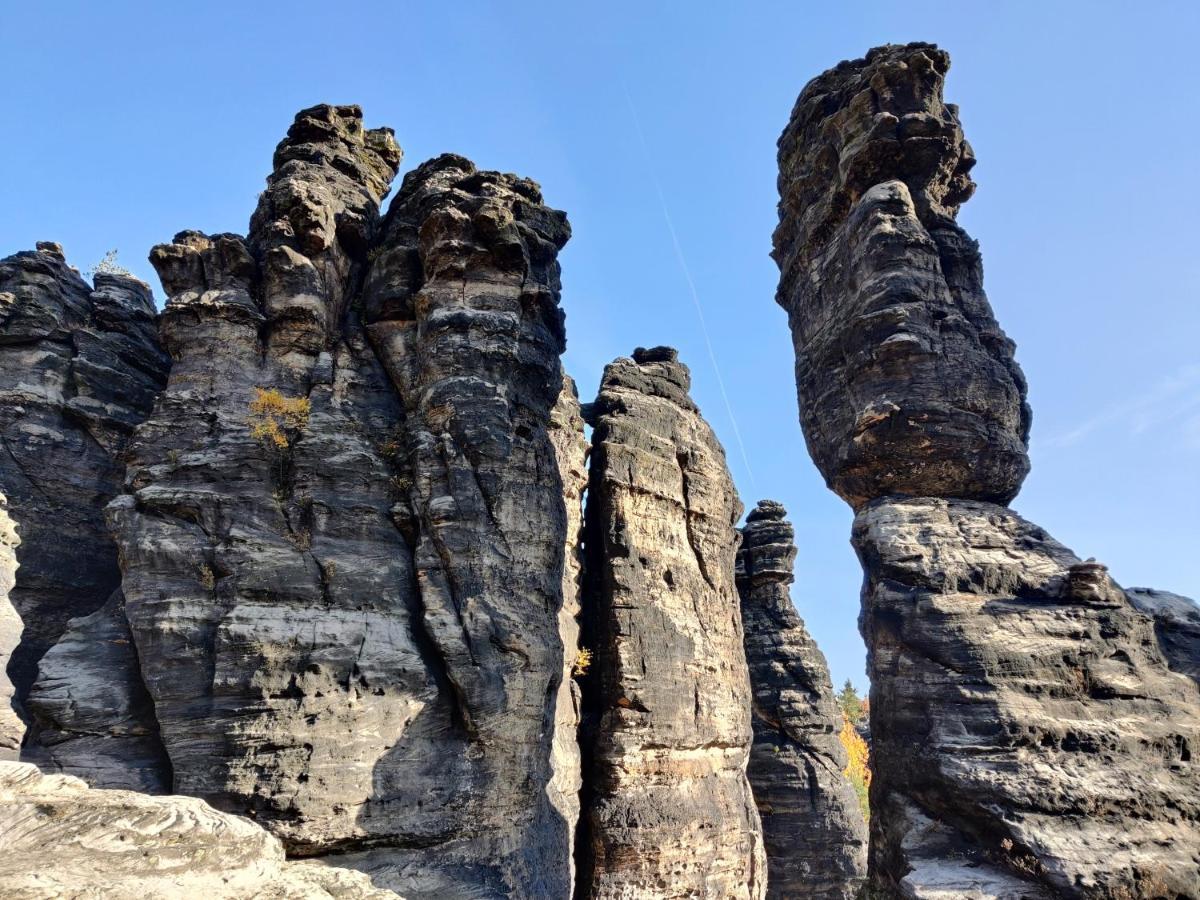 Ferienwohnungen Felsenkeller Bielatal Rosenthal-Bielatal Dış mekan fotoğraf